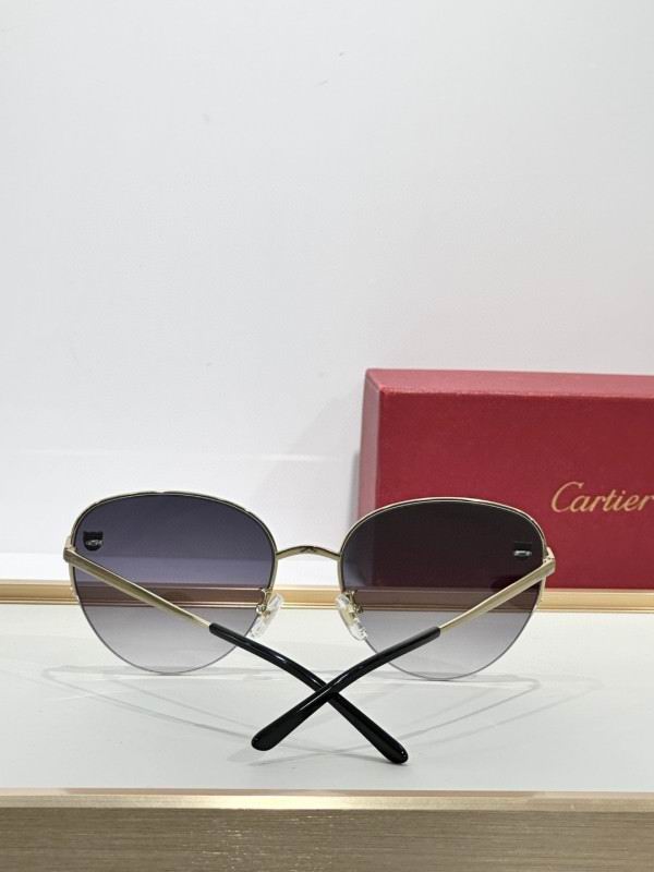 Cartier Glasses 08smh268 (8)