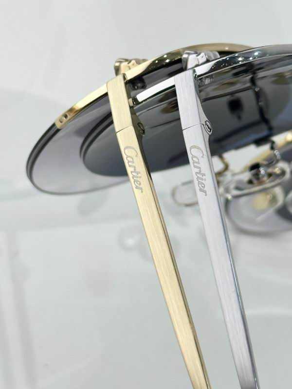 Cartier Glasses 08smh268 (9)