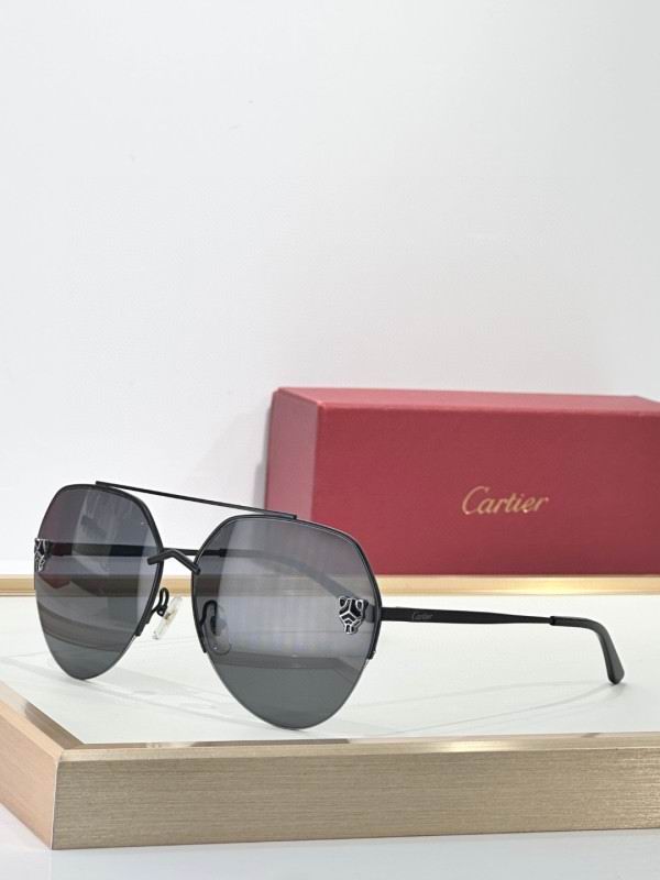 Cartier Glasses 08smh269 (1)