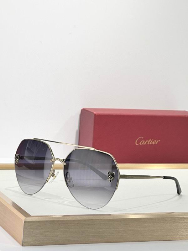 Cartier Glasses 08smh269 (3)