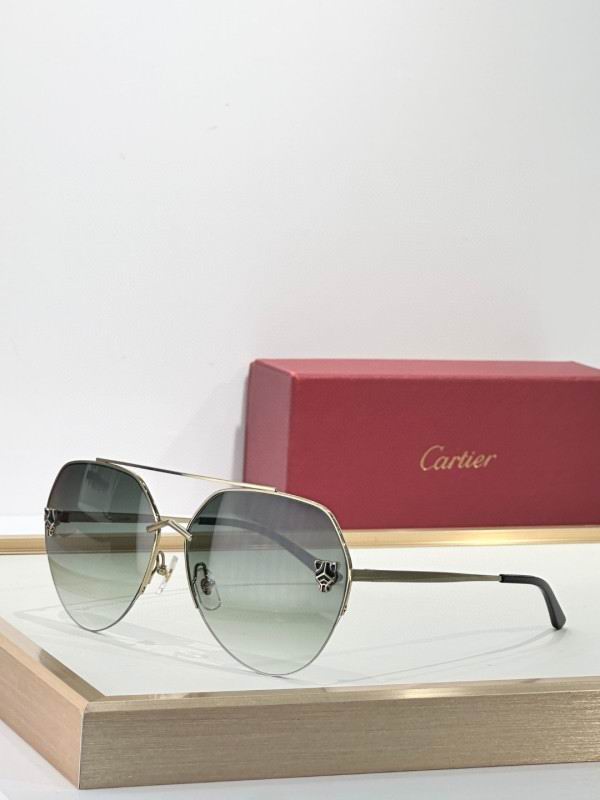 Cartier Glasses 08smh269 (4)