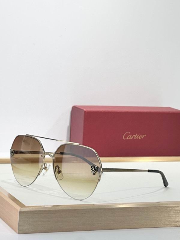 Cartier Glasses 08smh269 (6)