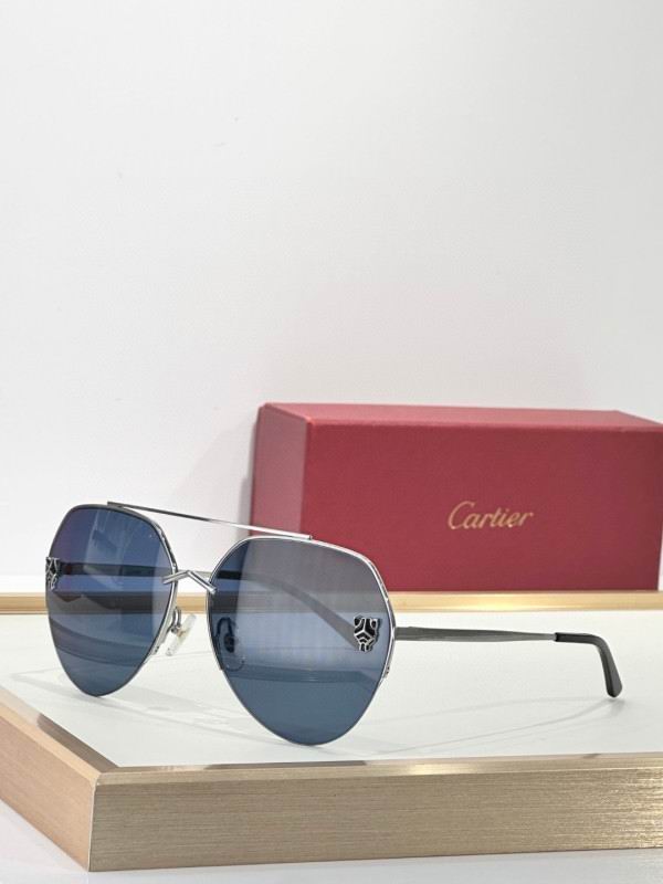 Cartier Glasses 08smh269 (7)