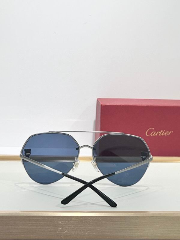 Cartier Glasses 08smh269 (8)