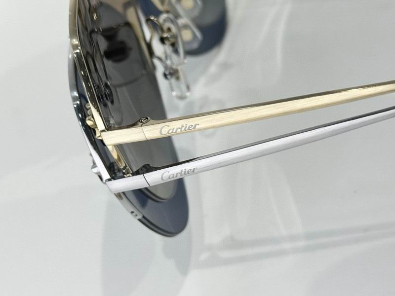Cartier Glasses 08smh269 (9)
