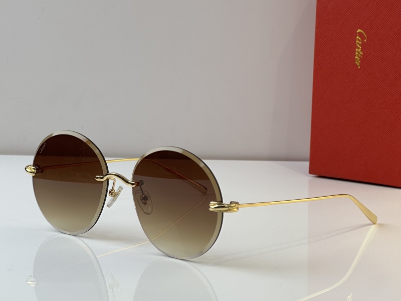 Cartier Glasses 08smh27 (4)