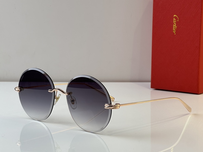 Cartier Glasses 08smh27 (6)