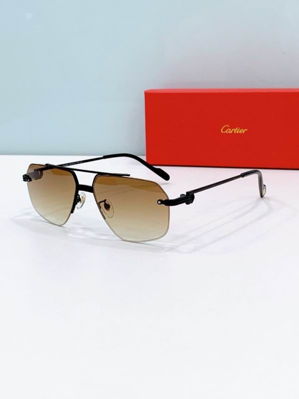 Cartier Glasses 08smh270 (2)