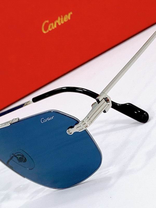 Cartier Glasses 08smh270 (7)