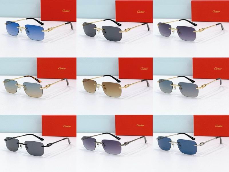 Cartier Glasses 08smh272 (11)