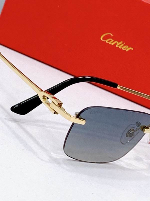 Cartier Glasses 08smh272 (13)