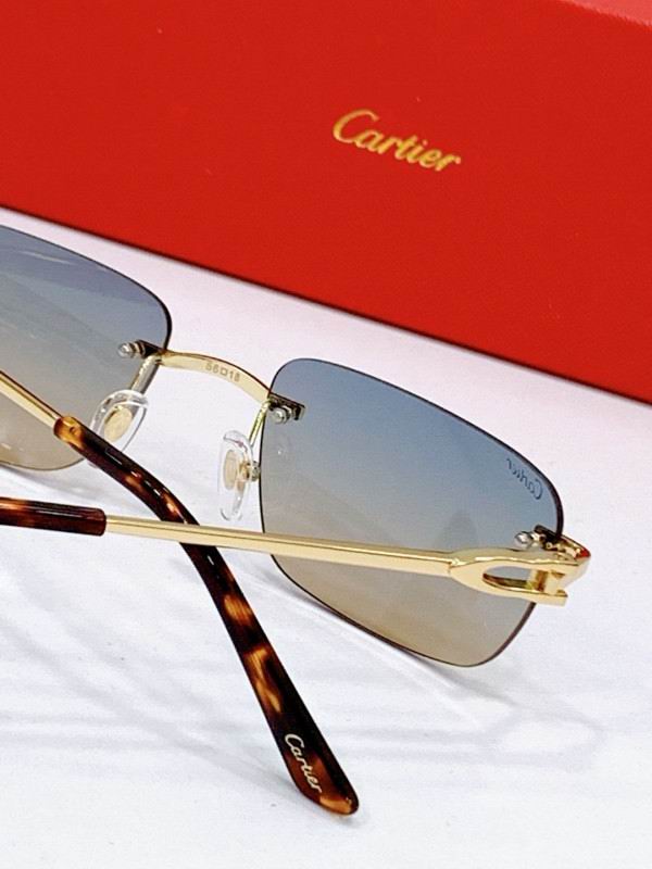 Cartier Glasses 08smh272 (14)