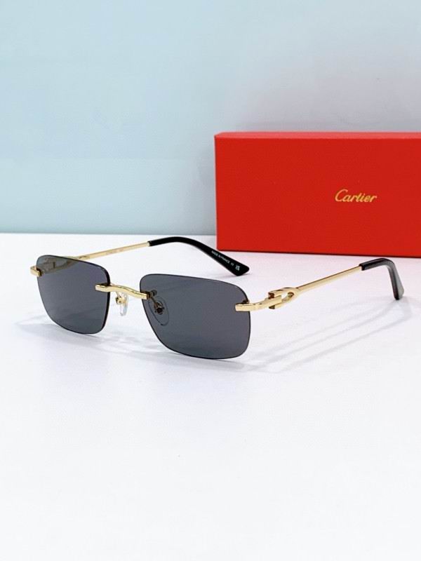 Cartier Glasses 08smh272 (2)