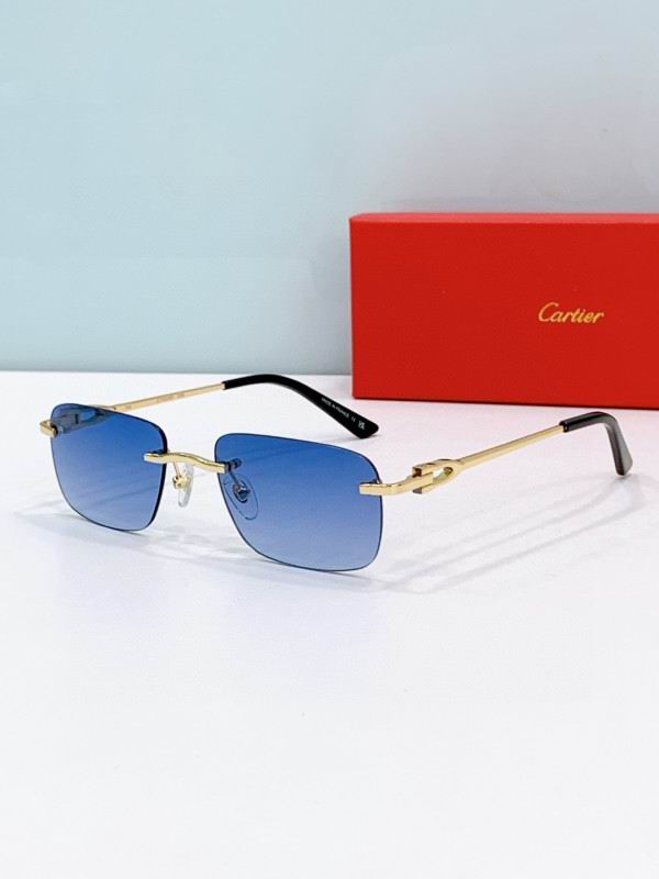 Cartier Glasses 08smh272 (3)
