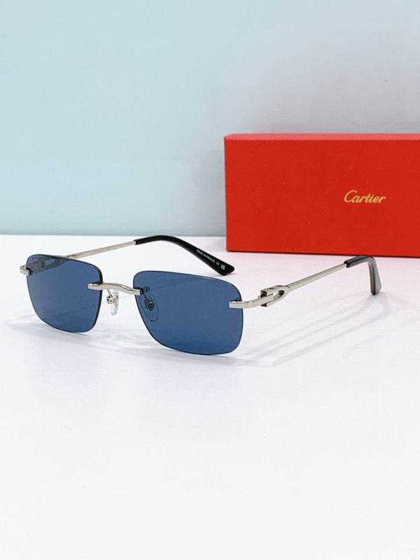 Cartier Glasses 08smh272 (5)