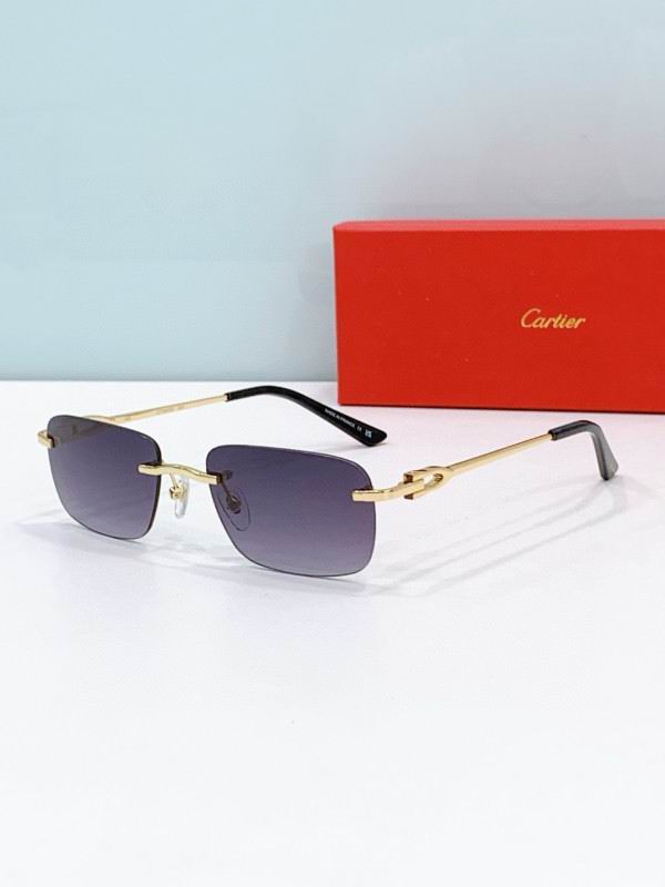 Cartier Glasses 08smh272 (6)