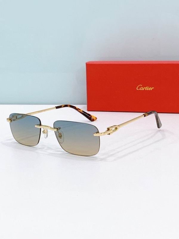 Cartier Glasses 08smh272 (7)