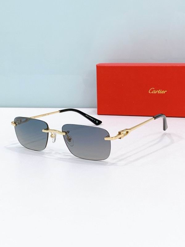 Cartier Glasses 08smh272 (8)