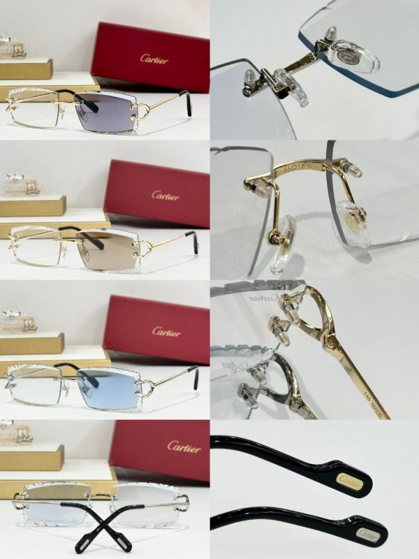 Cartier Glasses 08smh273 (10)