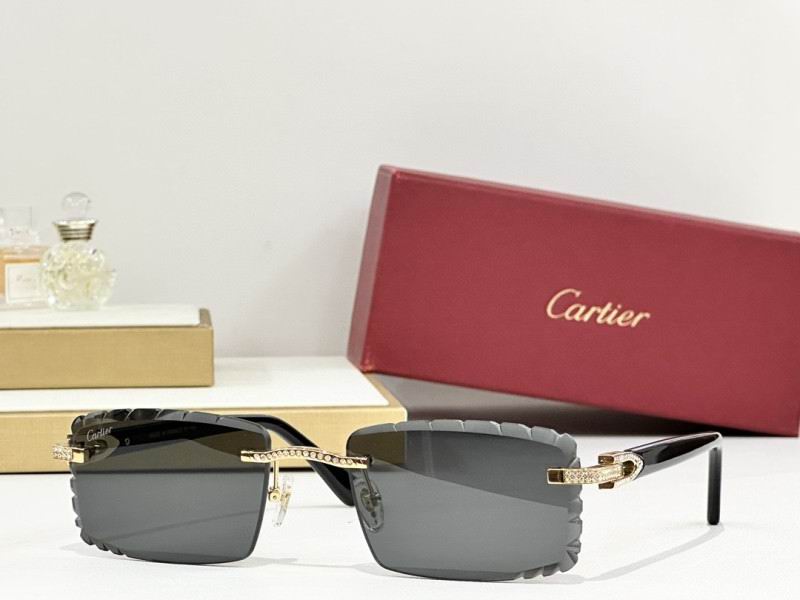 Cartier Glasses 08smh274 (10)