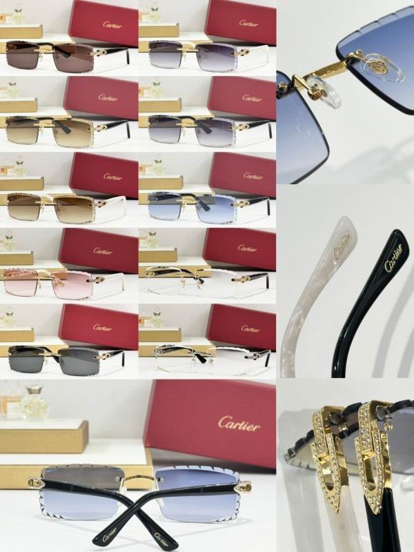 Cartier Glasses 08smh274 (11)