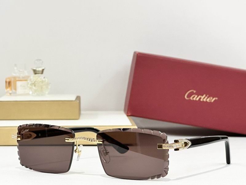 Cartier Glasses 08smh274 (5)