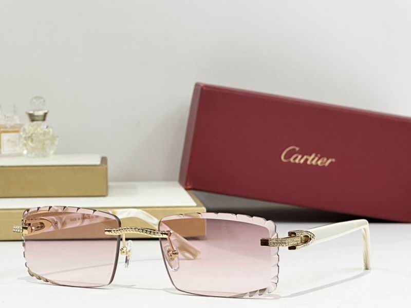 Cartier Glasses 08smh274 (7)