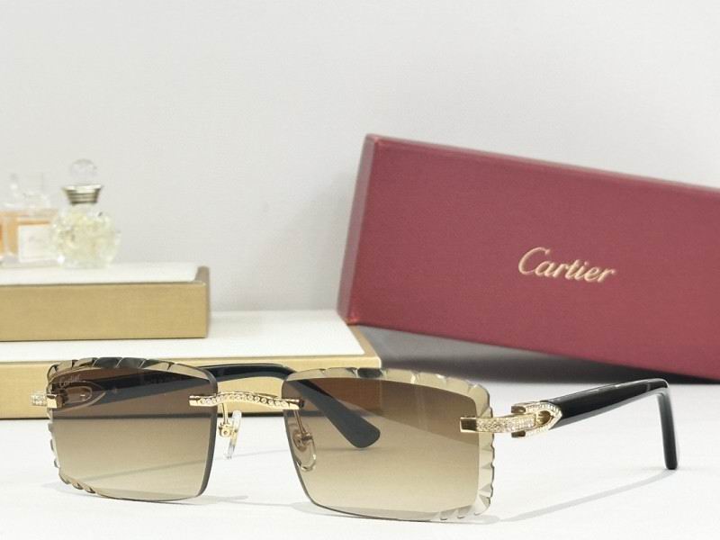 Cartier Glasses 08smh274 (8)