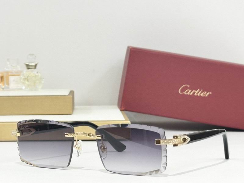 Cartier Glasses 08smh274 (9)