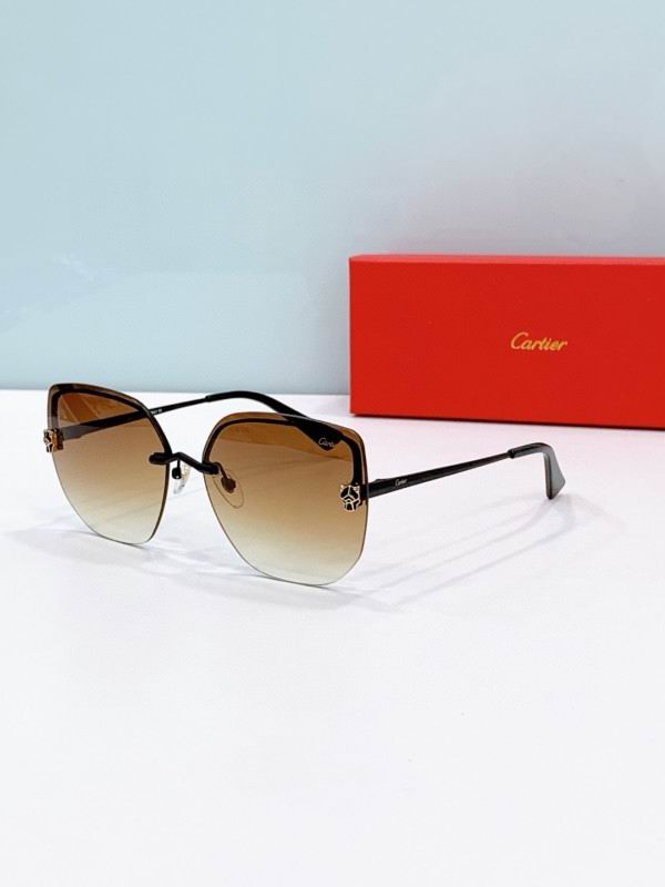 Cartier Glasses 08smh275 (2)