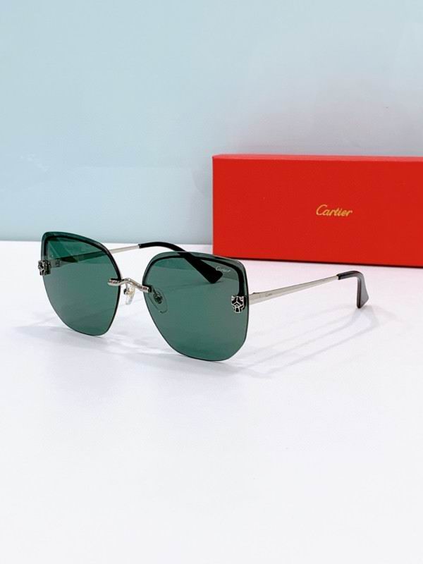 Cartier Glasses 08smh275 (3)