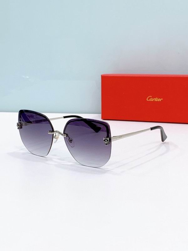 Cartier Glasses 08smh275 (4)
