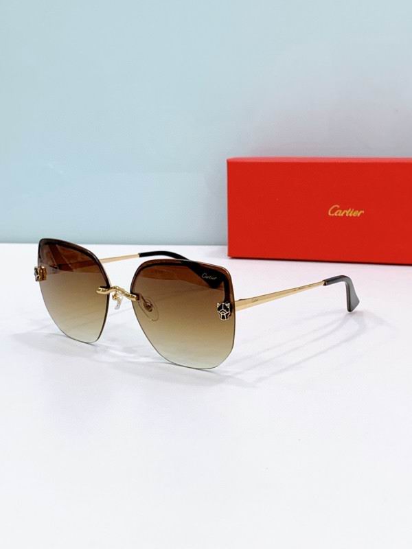 Cartier Glasses 08smh275 (5)