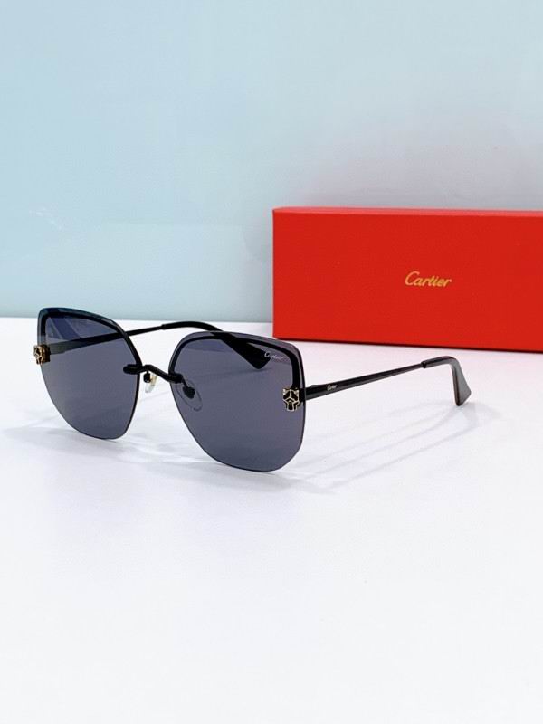 Cartier Glasses 08smh275 (6)