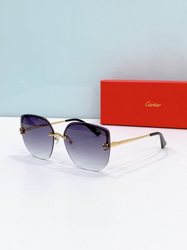 Cartier Glasses 08smh275 (7)