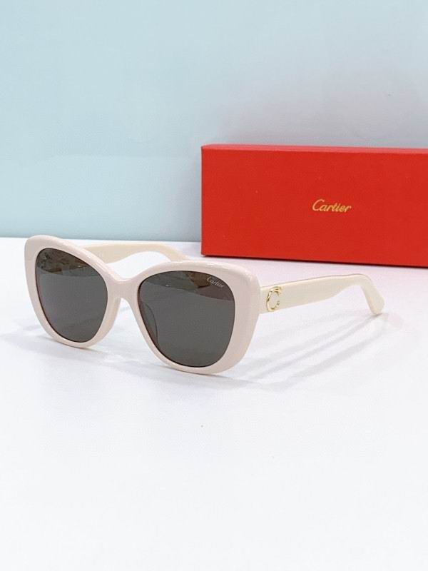 Cartier Glasses 08smh277 (6)