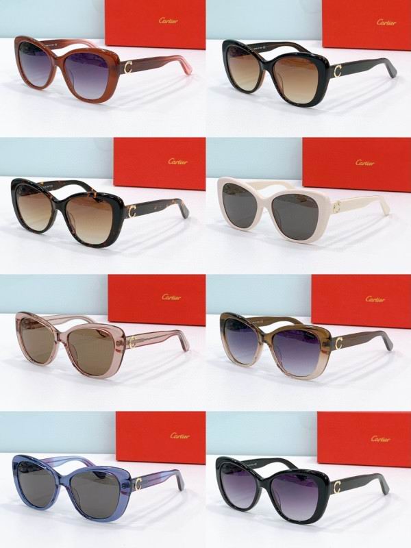 Cartier Glasses 08smh277 (8)