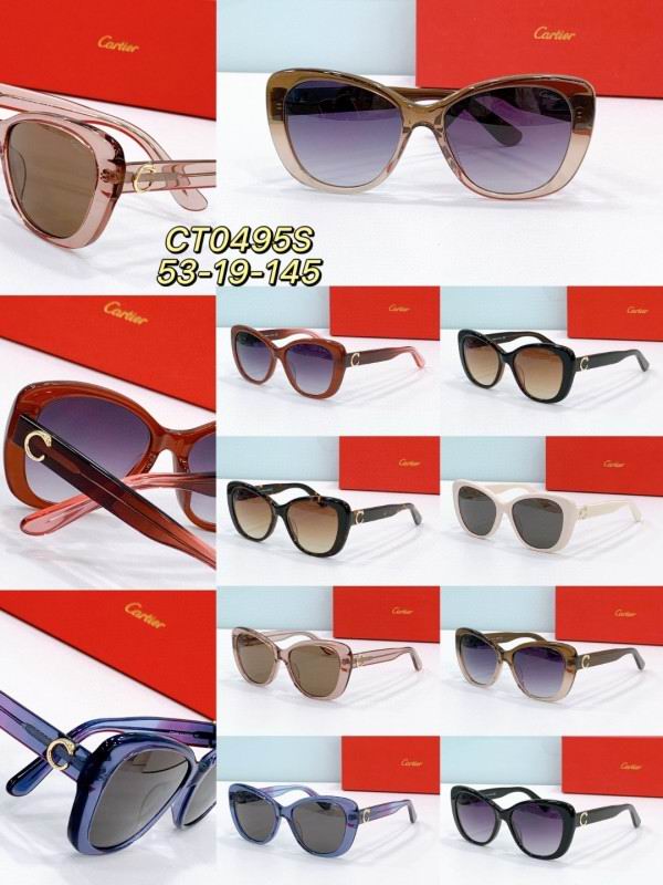 Cartier Glasses 08smh277 (9)