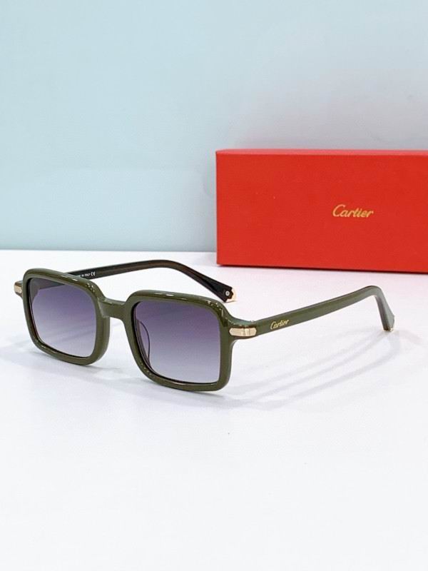 Cartier Glasses 08smh278 (2)