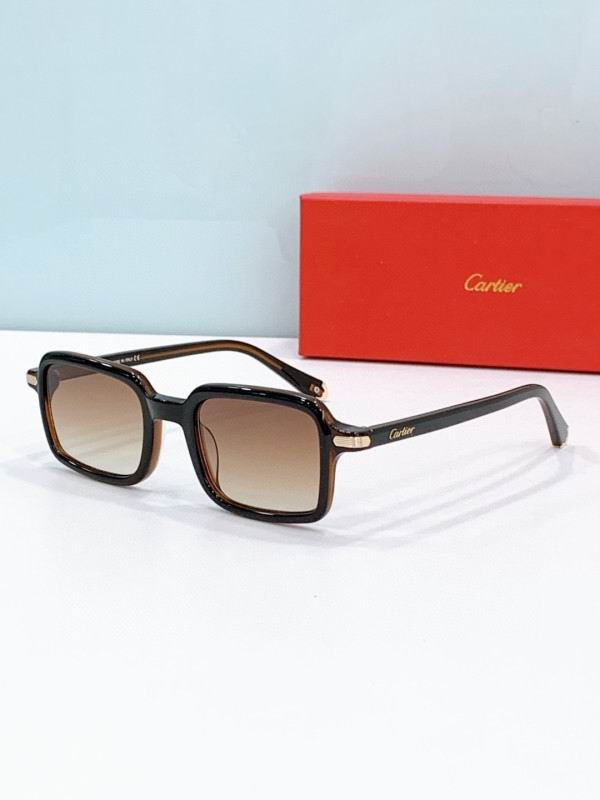 Cartier Glasses 08smh278 (4)