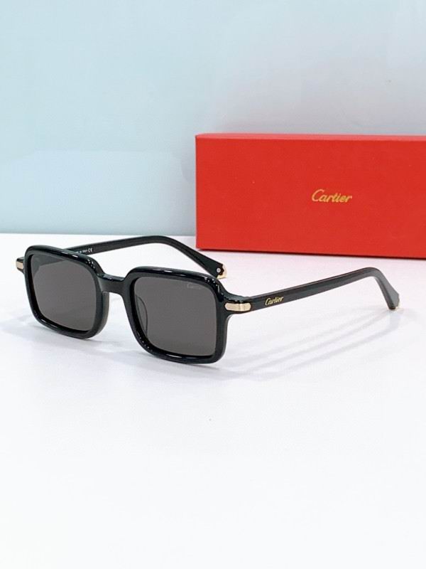 Cartier Glasses 08smh278 (6)