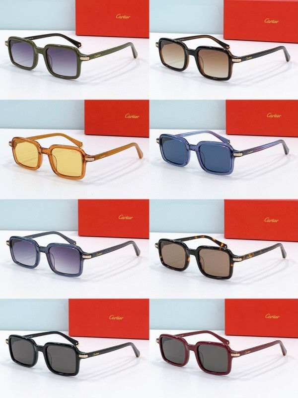 Cartier Glasses 08smh278 (8)