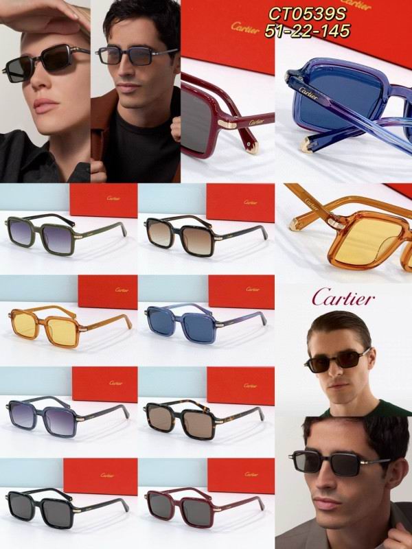 Cartier Glasses 08smh278 (9)