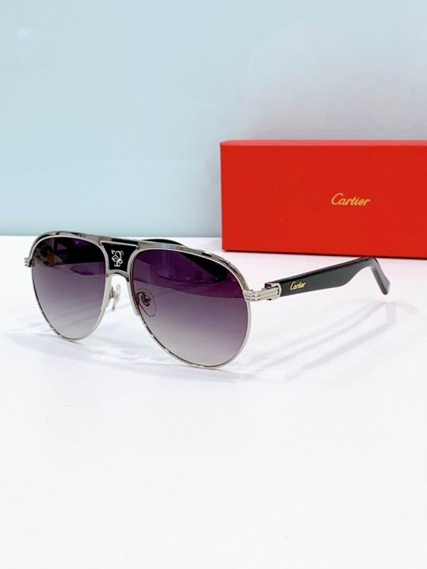Cartier Glasses 08smh279 (4)