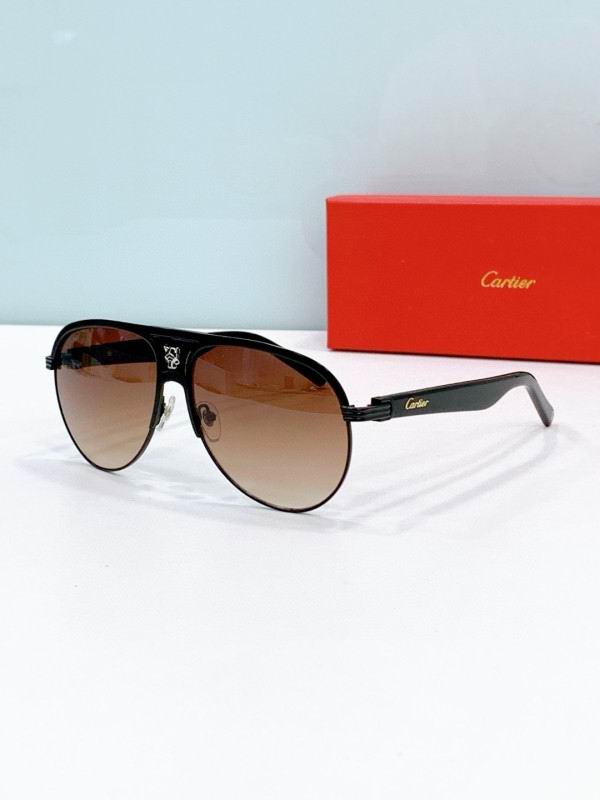 Cartier Glasses 08smh279 (7)