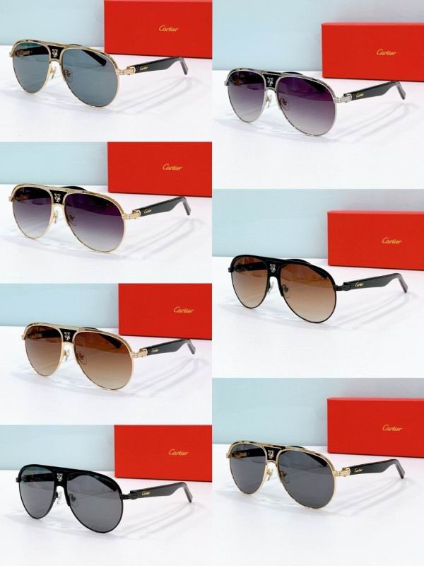 Cartier Glasses 08smh279 (8)