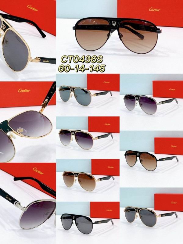 Cartier Glasses 08smh279 (9)