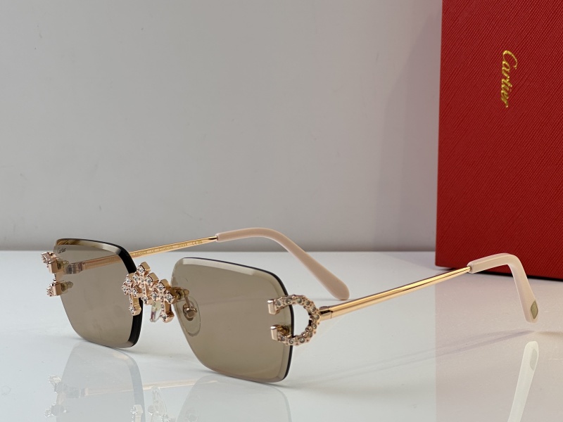 Cartier Glasses 08smh28 (1)