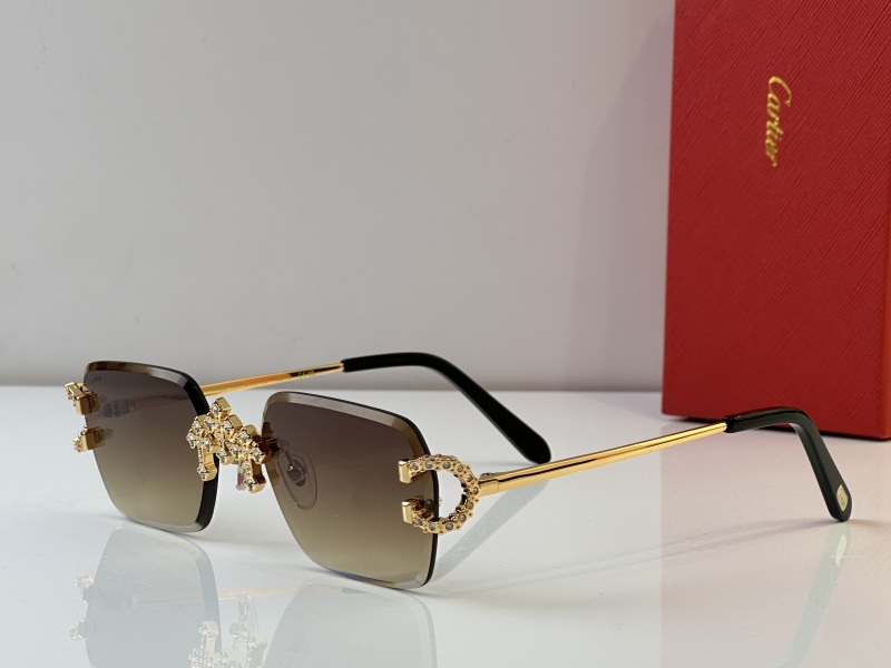 Cartier Glasses 08smh28 (4)