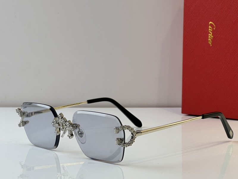 Cartier Glasses 08smh28 (6)